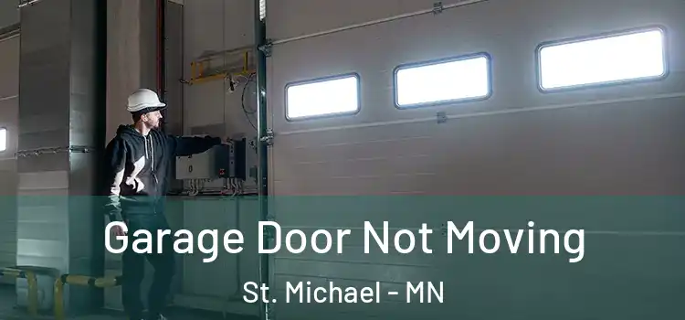  Garage Door Not Moving St. Michael - MN
